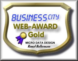 BUSINESScity WEB AWARD GOLD