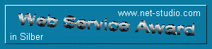 Web Service Award in Silber